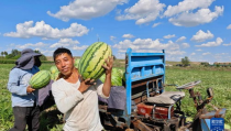 娱乐吃瓜君山河令,古装武侠剧中的甜蜜与热血交织