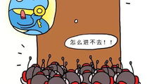 娱乐吃瓜酱锻炼大脑作品,脑力激荡的智慧盛宴