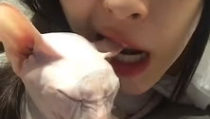 娱乐吃瓜酱虐猫,真相与反思