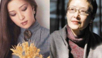 承认整容的女明星,揭秘承认整容的女明星风采
