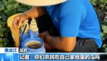 娱乐吃瓜直播怎样加入,揭秘娱乐吃瓜直播的加入之道