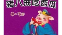 娱乐吃瓜小象小说免费阅读,揭秘娱乐圈背后的秘密