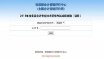 初级会计考试成绩,解析趋势与备考策略”
